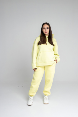 Брюки  Chill 2 с начесом фото в интернет-магазине швейной фабрики "Нарпи"