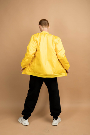 Куртка Bomber ICE